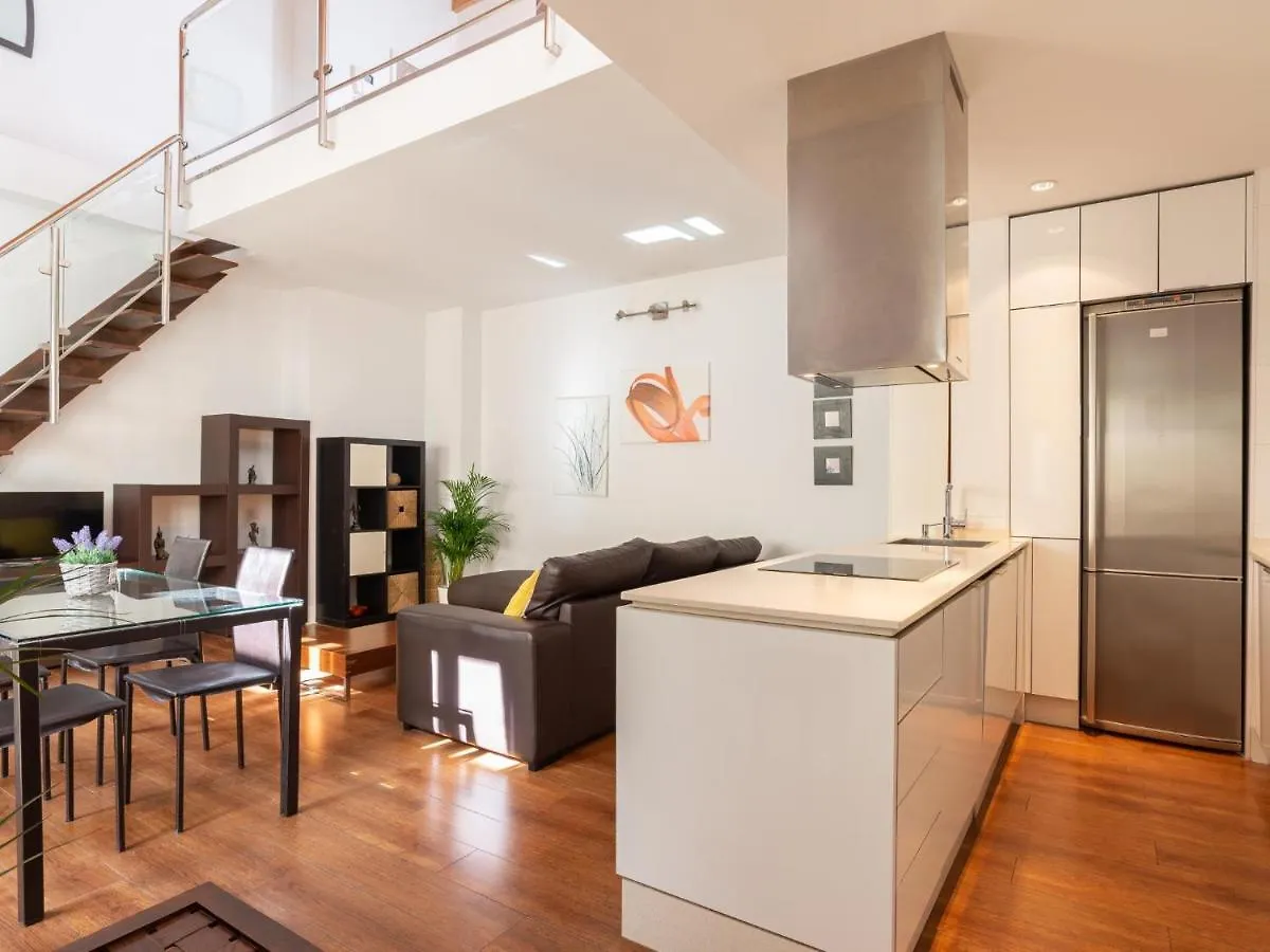 Lu&Cia Duplex City Center Malaga Spain